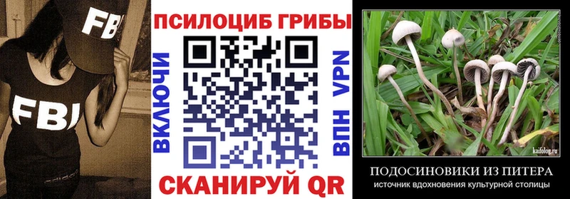 Псилоцибиновые грибы мухоморы  Купить закладки  Норильск 
